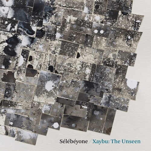 Lehman Steve / Selebeyone - Xaybu: The Unseen in the group VINYL / Jazz/Blues at Bengans Skivbutik AB (4186443)