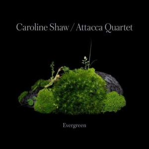 Caroline Shaw & Attacca Quarte - Caroline Shaw: Evergreen in the group CD / Klassiskt at Bengans Skivbutik AB (4187035)