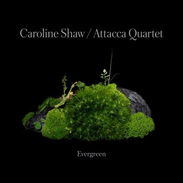 Caroline Shaw & Attacca Quarte - Caroline Shaw: Evergreen in the group CD / Klassiskt at Bengans Skivbutik AB (4187035)