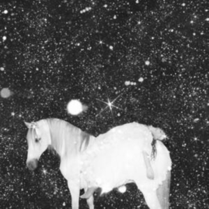 Black Lips - Apocalypse Love in the group CD / Pop-Rock at Bengans Skivbutik AB (4187700)