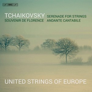 Tchaikovsky Pyotr Ilyich - Serenade in the group MUSIK / SACD / Klassiskt at Bengans Skivbutik AB (4192137)