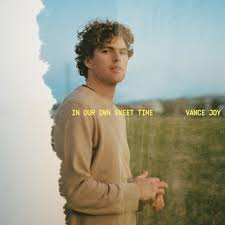 Vance Joy - In Our Own Sweet Time in the group VINYL / Pop-Rock at Bengans Skivbutik AB (4192787)
