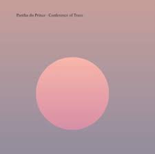 Pantha Du Prince - Conference Of Trees in the group OTHER / -Start Max at Bengans Skivbutik AB (4193081)