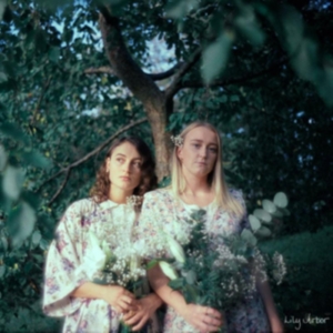 Lily Arbor - Lily Arbor in the group VINYL / Pop-Rock at Bengans Skivbutik AB (4193859)