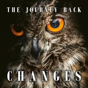 Journey Back - Changes in the group CD / Punk at Bengans Skivbutik AB (4194691)