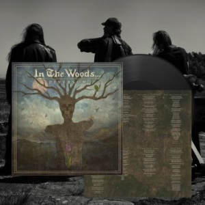 In The Woods... - Diversum (Vinyl Lp) in the group VINYL / Hårdrock/ Heavy metal at Bengans Skivbutik AB (4196508)