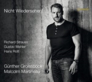 Rott Hans Strauss Richard - Rott & Strauss: Nicht Wiedersehen! in the group Externt_Lager /  at Bengans Skivbutik AB (4196900)