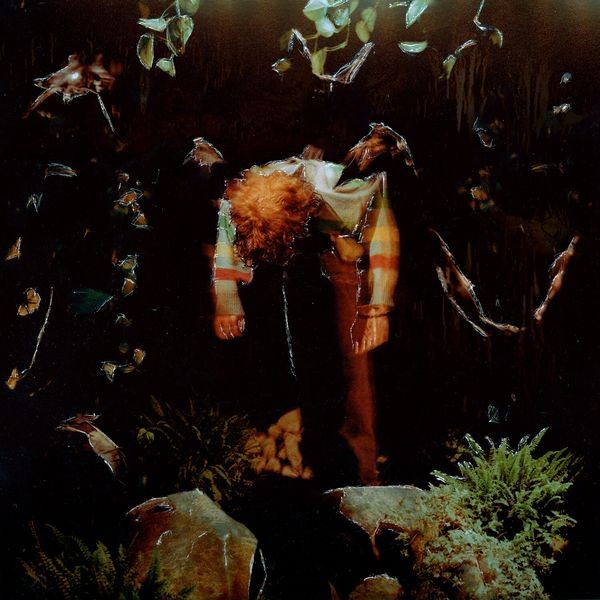 Cavetown - Worm Food in the group CD / Pop at Bengans Skivbutik AB (4199333)