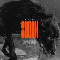 Algiers - Shook (Gold Vinyl) in the group OUR PICKS / Best Album 2023 / Årsbästa 23 Viktor L at Bengans Skivbutik AB (4201707)