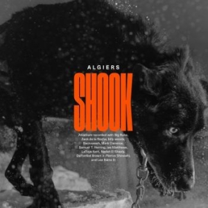 Algiers - Shook in the group CD / Rock at Bengans Skivbutik AB (4201709)