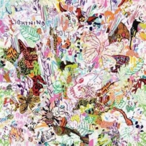 Lightning Bolt - Earthly Delights in the group VINYL / Hårdrock,Pop-Rock at Bengans Skivbutik AB (4201958)