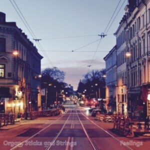 Organ Sticks And Strings - Feelings in the group CD / Jazz at Bengans Skivbutik AB (4202078)