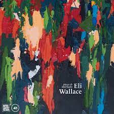 Wallace Eli - Pieces & Interludes in the group CD / Jazz,Pop-Rock at Bengans Skivbutik AB (4204659)