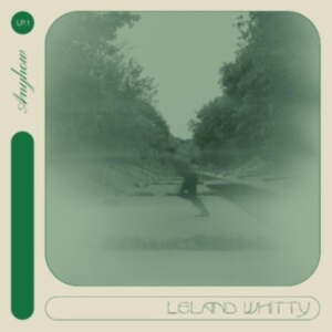 Whitty Leland - Anyhow in the group OTHER / Övrigt /  at Bengans Skivbutik AB (4204668)