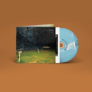 Yo La Tengo - This Stupid World in the group CD / Pop-Rock at Bengans Skivbutik AB (4204695)