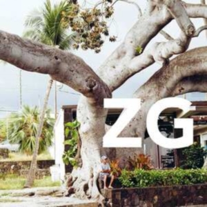 Zg - Zg in the group VINYL / Dance-Techno at Bengans Skivbutik AB (4204774)