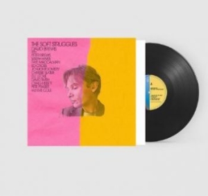 David Brewis - Soft Struggles in the group VINYL / Pop-Rock at Bengans Skivbutik AB (4204818)