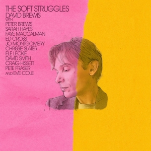 David Brewis - Soft Struggles in the group VINYL / Pop-Rock at Bengans Skivbutik AB (4204818)