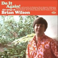 Do It Again! The Songs Of Brian Wil - Various in the group CD / Pop-Rock at Bengans Skivbutik AB (4204849)