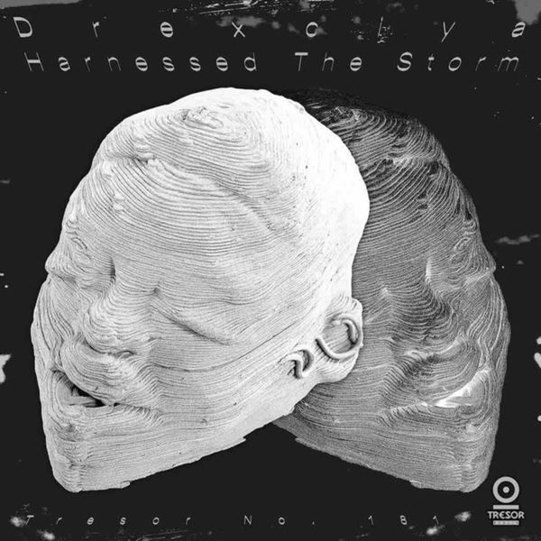 Drexciya - Harnessed The Storm in the group CD / Dans/Techno at Bengans Skivbutik AB (4204883)
