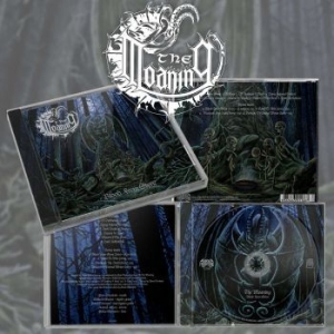 Moaning The - Blood From Stone in the group CD / Hårdrock at Bengans Skivbutik AB (4205093)