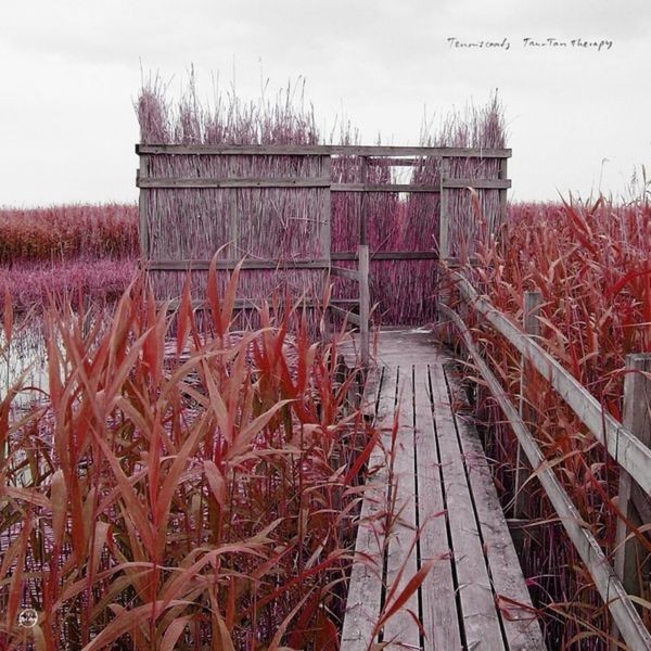 Tenniscoats - Tan-Tan Therapy (Remastered) in the group CD / Pop at Bengans Skivbutik AB (4205815)