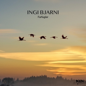 Ingi Bjarni - Farfuglar in the group Externt_Lager /  at Bengans Skivbutik AB (4205933)
