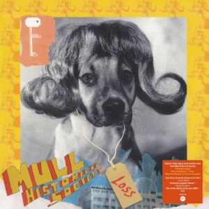 Mull Historical Society - Loss in the group VINYL / Pop-Rock at Bengans Skivbutik AB (4206121)