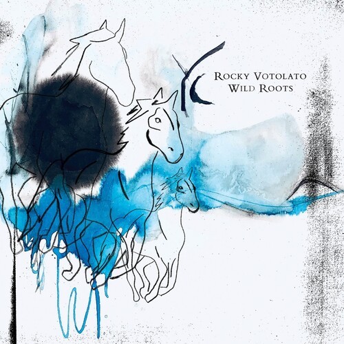 Rocky Votolato - Wild Roots in the group VINYL / Bestsellers at Bengans Skivbutik AB (4206462)