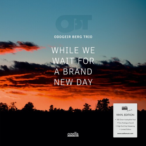 Berg Oddgeir Trio - While We Wait For A Brand New Day in the group VINYL / Jazz/Blues at Bengans Skivbutik AB (4206676)