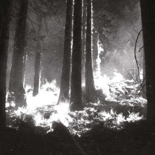 Den Sorte Dïd - Undergangen in the group CD / Dans/Techno at Bengans Skivbutik AB (4206994)