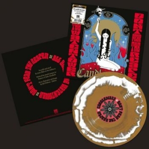 Candlemass - Dont Fear The Reaper (Gold/White Vi in the group Minishops / Candlemass at Bengans Skivbutik AB (4207124)