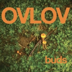 Ovlov - Buds (Indie Exclusive, Orange Vinyl in the group OTHER / Övrigt /  at Bengans Skivbutik AB (4208413)