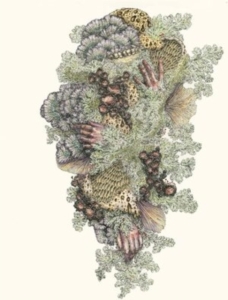 Pyrithe - Monuments To Impermanence in the group OTHER / Övrigt /  at Bengans Skivbutik AB (4208435)