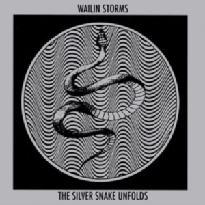 Wailin Storms - The Silver Snake Unfolds in the group OTHER / Övrigt /  at Bengans Skivbutik AB (4208436)