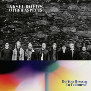 Aksel Rïed's Other Aspects - Do You Dream In Colours? in the group VINYL / Jazz/Blues at Bengans Skivbutik AB (4208725)