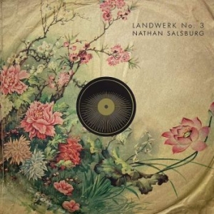 Nathan Salsburg - Landwerk No. 3 in the group VINYL / Rock at Bengans Skivbutik AB (4211237)