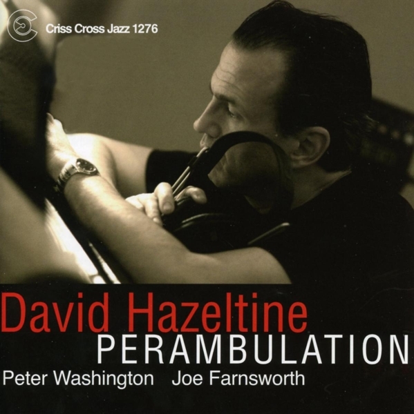 Hazeltine David -Trio- - Perambulation in the group CD / Jazz/Blues at Bengans Skivbutik AB (4211836)