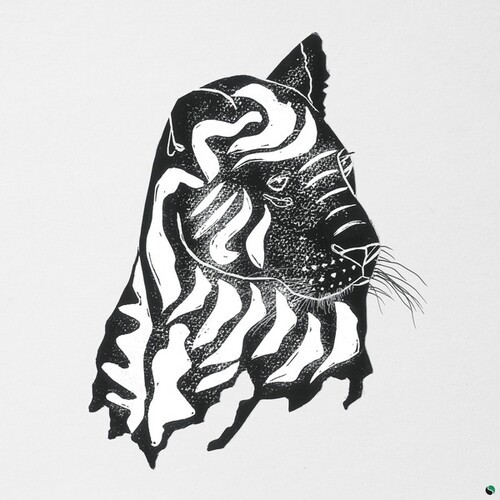 ALPHA STEPPA & AWA FALL - WHAT A JOY in the group VINYL / Reggae at Bengans Skivbutik AB (4213635)