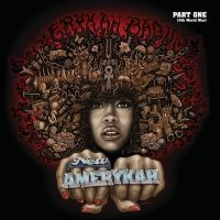 Erykah Badu - New Amerykah Part One i gruppen ÖVRIGT / MK Test 9 LP hos Bengans Skivbutik AB (4213955)