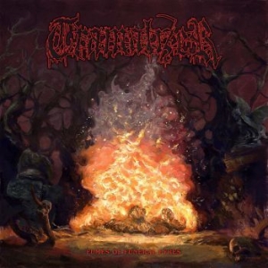 Tramalizer - Fumes Of Funeral Pyres in the group CD / Hårdrock at Bengans Skivbutik AB (4217190)