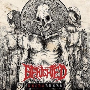 Benighted - Necrobreed in the group VINYL / Hårdrock/ Heavy metal at Bengans Skivbutik AB (4217291)