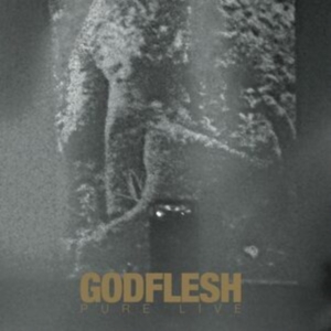 Godflesh - Pure: Live (2 Lp Splatter Vinyl) in the group VINYL / Pop-Rock at Bengans Skivbutik AB (4218857)