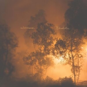 Watchhouse - Blindfaller (Clear Orange Vinyl) in the group OTHER / Övrigt /  at Bengans Skivbutik AB (4220597)