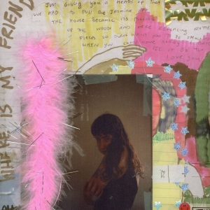 Wednesday - I Was Trying To Describe You To Som in the group VINYL / Pop-Rock at Bengans Skivbutik AB (4220609)