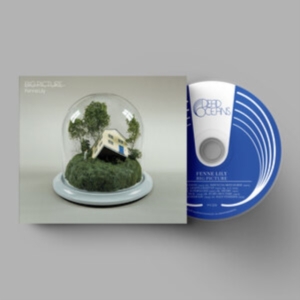 Fenne Lily - Big Picture in the group CD / Pop-Rock at Bengans Skivbutik AB (4220621)