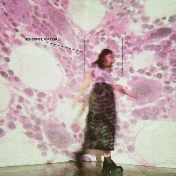 Soccer Mommy - Sometimes, Forever in the group CD / Rock at Bengans Skivbutik AB (4221779)