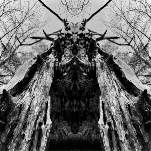 Rulaman - To Serve The Dune (Digipack) in the group CD / Pop-Rock at Bengans Skivbutik AB (4222364)