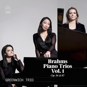 Brahms Johannes - Piano Trios Vol. 1, Op. 36 & 87 in the group Externt_Lager /  at Bengans Skivbutik AB (4223638)