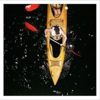 Kuf - Yield in the group VINYL / Bestsellers at Bengans Skivbutik AB (4225299)